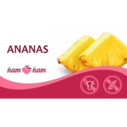 ZM Sorbet Ananas 2,5l