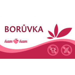 ZM SORBET BORŮVKA 4,75l